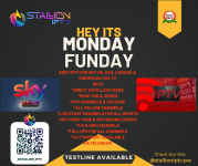 Stallion Monday.png