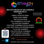 1780243701422_Stallioniptv.com1.png