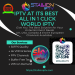 1780243665662_Main_Stallioniptv.com.png